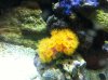 IMG_1439.jpg