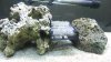 DSCF4076.jpg
