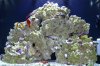FTS.jpg
