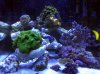 IMG_20120116_182719.jpg