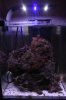 fishtank118 010.jpg