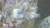 2012-01-18_16-46-44_207.jpg