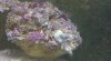 2012-01-18_16-46-08_84.jpg