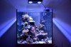 DSC_0009b_small.jpg