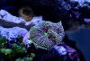 DSC_0012b.jpg