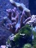 DSC_0021b_small.jpg