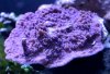 DSC_0022b_Small.jpg