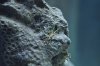 fishtank low res.jpg