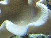 IMG_20120122_204632.jpg