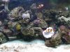 fish 016.jpg