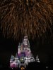 disney 041_1_1_1.jpg