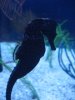 disney 059_1_1.jpg