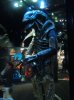 disney 113_1_1.jpg