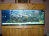 dec fishes 014 Medium Web view.jpg