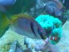 Fish Tank 022.jpg