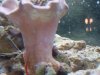 DSC00896.JPG