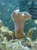 DSC00900.JPG