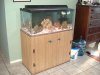 DSC01560.jpg