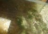 DSC00881a.JPG