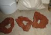 DSC00884c.JPG