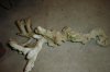 DSC00886.JPG