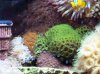 saltwater 2-1-08 007 3r.JPG