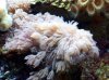 saltwater 2-1-08 008 3r.JPG