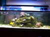 saltwater 2-1-08 002 3r.JPG