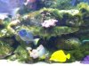 saltwater 2-1-08 003 3r.JPG