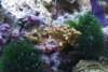 75 gallon tank 003.jpg