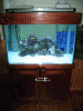 fulltank.gif