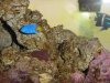 DSC02299.JPG