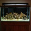 21808 pics 076.jpg