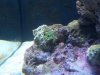 100_0369.JPG
