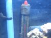 DSCF5311.JPG