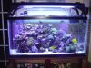 DSC02046.jpg