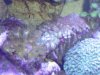 DSC02045.jpg