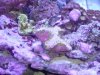 DSC02042.jpg