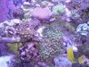 DSC02041.jpg