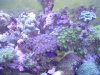 DSC02039.jpg