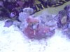 DSC02035.jpg