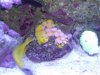 DSC02034.jpg