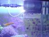 DSC02044.jpg
