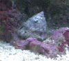 DSC00609.JPG