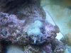 100_0405.JPG