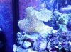 DSC02049.JPG