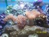 100_0734.jpg