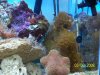 100_0730.jpg