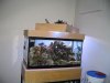 IMG_0490 copy.JPG