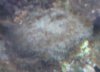 DSC00286.jpg